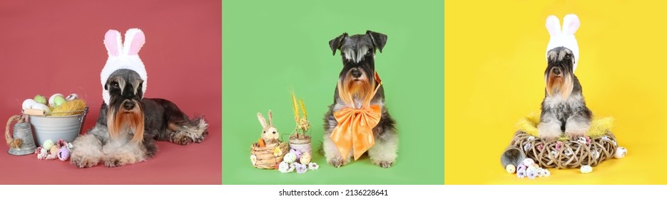 ミニチュアシュナウザー イラスト Stock Photos Images Photography Shutterstock