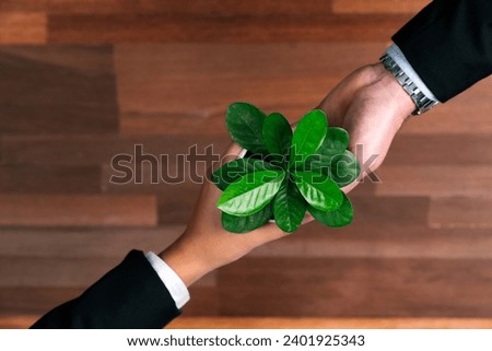 Panoramic banner top view business investment on reforestation by group of people holding plant together promoting CO2 reduction and natural preservation to save Earth with sustainable future. Quaint