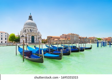 Panoramic beautiful  view of traditional venetian gondolas moored in water of Grand Canal in front of Basilica di Santa Maria della Salute church, Venice, Italy, in bight sunny day