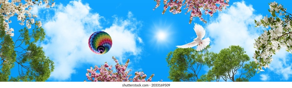 Panoramic Blue Sky. Bottom View Hot Air Balloon And Trees. Corridor Stretch Ceiling Model. White Spring Flowers, Green Tree Leaves And Flying Dove