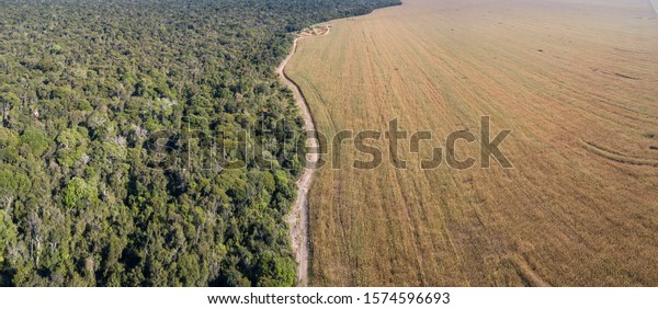 Panoramic drone aerial view of Xingu\
Indigenous Park territory and soybean farms in the Amazon\
rainforest, Mato Grosso, Brazil. Concept of deforestation,\
agriculture, global warming and\
environment.