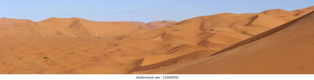 panoramic of dunes in the eastern Sahara desert