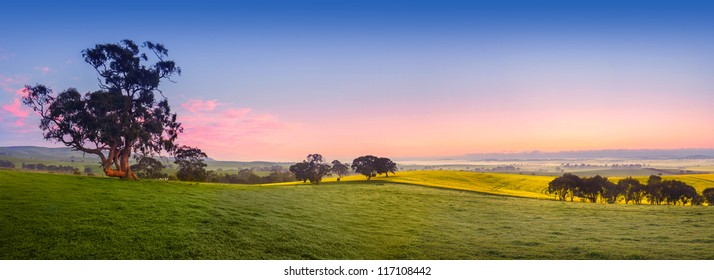 Panoramic field in the Clare Valley, South Australia