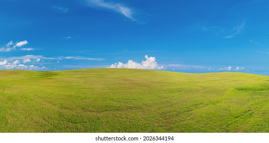 Panoramic green grass on golf field ,Panorama green grass field landscape