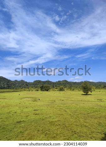 Panoramic of green savannah during Summer day in Sadengan, Alas Purwo, Banyuwangi, East Java, Indonesia
