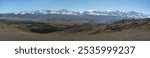 Panoramic high resolution image of Chuya steppe: hilly landscape, endless field with yellow grass, a golden autumn in the Altai. In the distance is a mountain ridge with snow covered mountain peaks.