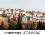 Panoramic hillside view of densely packed residential buildings in Istanbul with colorful facades and autumn trees.