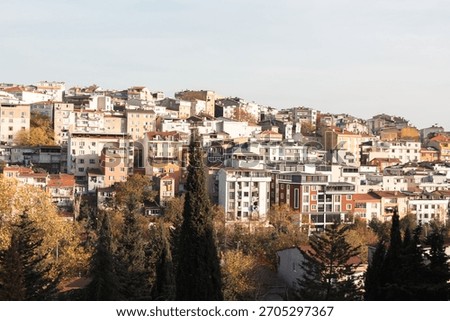 Panoramic hillside view of densely packed residential buildings in Istanbul with colorful facades and autumn trees.