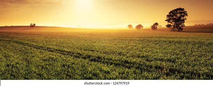 Panoramic Image Of A Clare Valley Sunrise, Australia