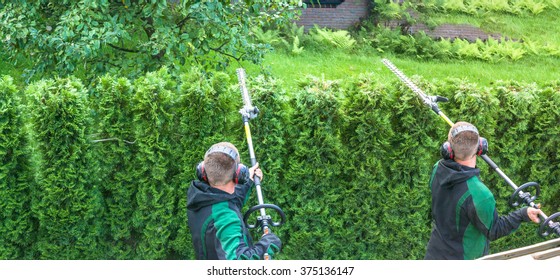 telescopic hedge trimmer