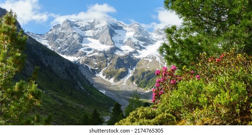 Panoramic image of a magnificent mountain landscape with glacier and rhododendron in the Austrian Alps - Shutterstock ID 2174765305