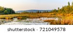 Panoramic image of wetlands in Wisconsin during late summer