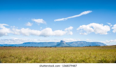 Panoramic Landscape Of The Auyantepui Mountain