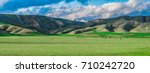 Panoramic landscape of central California agricultural countryside with green hills (foothills), cloudy skies and a farm with cows in a pasture.