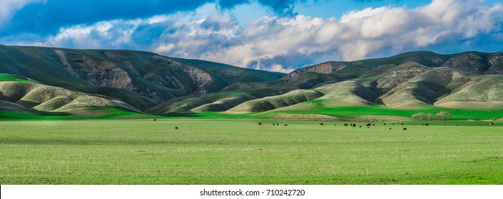 Panoramic Landscape Of Central California Agricultural Countryside With Green Hills (foothills), Cloudy Skies And A Farm With Cows In A Pasture.