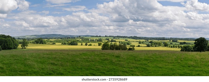 Panoramic Landscape Of Green Fields
