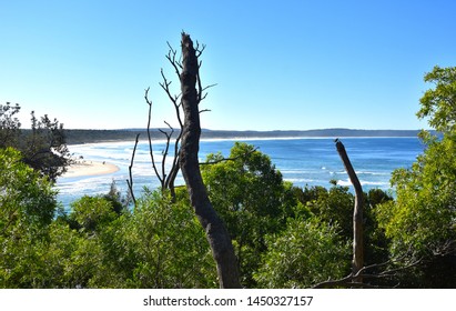 Panoramic Landscape Of Jervis Bay From Sussex Inlet Beach In New South Wales, Australia. Sunny Day In Winter Time, Few People On The Beach. Tree In The Front. 