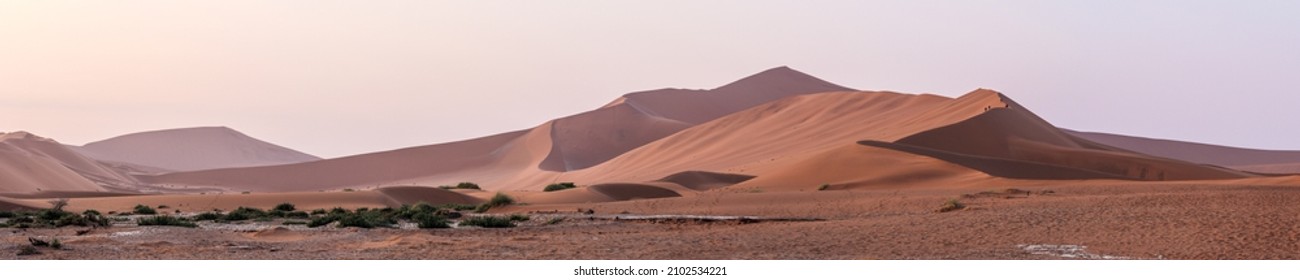 Panoramic landscape of Namib desert with biggest sand dunes of Sossusvlei valley, Namib. Serenity scene in a desert at sunrise. Muted palette of pastel tints with calming coral, pink and dusty yellow. - Powered by Shutterstock