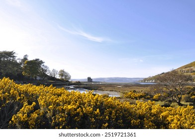 Panoramic landscape with old castle ruins on the lake shore between the mountains, yellow bushes and dramatic tree silhouette on a sunny day - Powered by Shutterstock