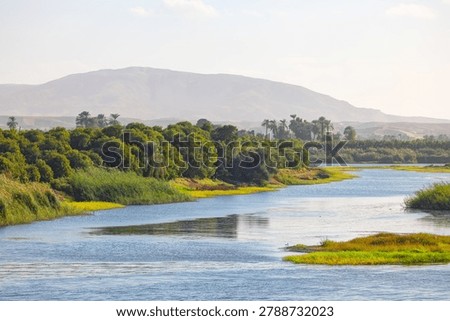 Panoramic landscape of palm trees and fields on the Nile river banks - Egypt