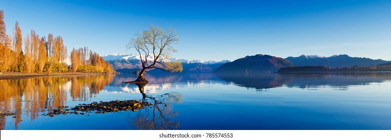 Panoramic landscape photograph of the lone tree at Lake Wanaka in the South Island of New Zealand. Blue sky and water reflection.