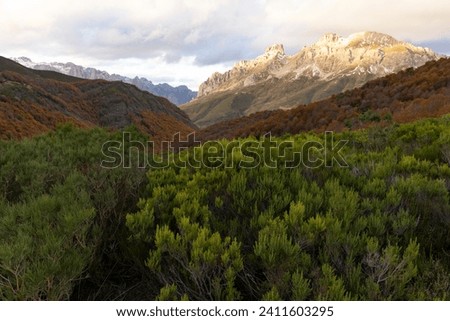 Panoramic landscape of Picos de Europa national park in Autumn with brigh colorful leaves in fall and rocky peak