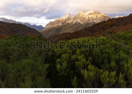 Panoramic landscape of Picos de Europa national park in Autumn with brigh colorful leaves in fall and rocky peak