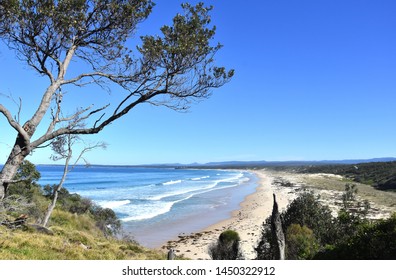 Panoramic Landscape Of Sussex Inlet Beach In New South Wales, Australia. Sunny Day In Winter Time, Few People On The Beach. Tree In The Front. 