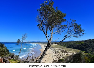 Panoramic Landscape Of Sussex Inlet Beach In New South Wales, Australia. Sunny Day In Winter Time, Few People On The Beach. Tree In The Front. 