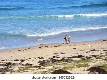 Panoramic Landscape Of Sussex Inlet Beach In New South Wales, Australia. Sunny Day In Winter Time, Old Couple With A Three-legged Dog On The Beach. 