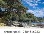 panoramic landscape view to Palm Beach on Waiheke Island, Auckland, North Island, New Zealand