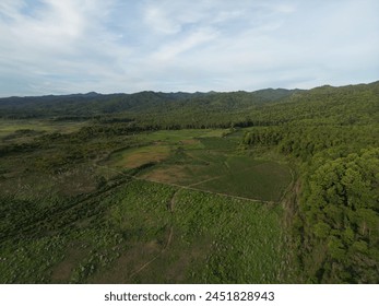Panoramic mountain views and lush forests - Powered by Shutterstock