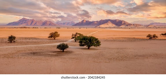 A panoramic Namib Desert landscape scene in Sossusvlei Namibia, with a wide flat valley, a few hardy trees, a long dirt road, mountains and sunset sky in the background.