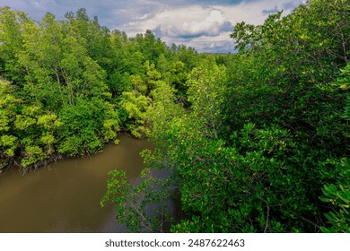 Panoramic natural background, with golden yellow trees, lush greenery surrounded by mangrove forests, brightly colored skies, blurred breezes blowing through the mangrove forest. - Powered by Shutterstock