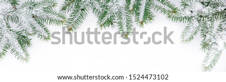 Panoramic Nature Winter background with snowy fir tree branches. Fir branches covered with snow on a white background, top view. Wide Angle Winter Christmas Web banner With Copy Space