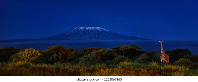 275 Kilimanjaro Panoramic Images Stock Photos And Vectors Shutterstock