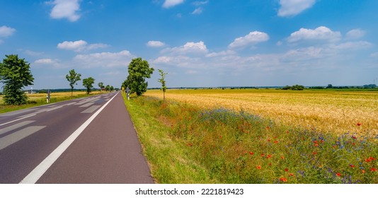 Panoramic Over Beautiful Farm Landscape With Red Poppies Flowers And Paved Highway Road In Germany, Summer, At Sunset Warm Colors And Blue Sky