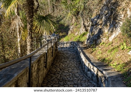 Panoramic path downhill to the hermitage of santa aterina del Sasso on the shores of Lake Maggiore formed by stone slabs and surrounded by plants, palms and rocks.
