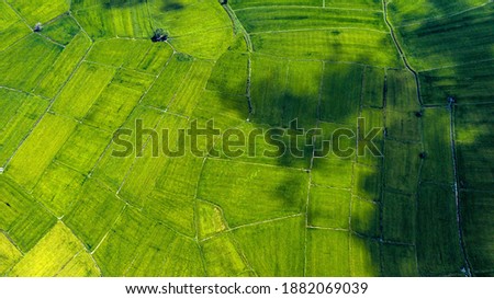 Aerial view of lush green rice field with small winding canal. Sustainable agriculture landscape. Sustainable rice farming. Rice cultivation. Green landscape. Organic farming. Sustainable land use.