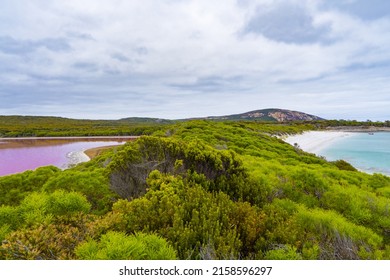 Panoramic Photo Of Middle Island Lake Hillier And Goose Island Bay