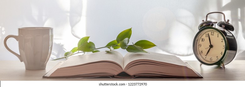Panoramic photo of an open book, a gray cup with coffee, a black clock and a twig with green leaves on a wooden table lit by the sun