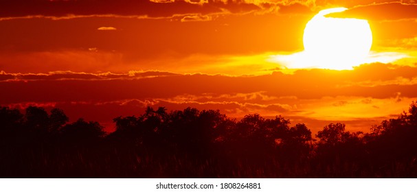 Panoramic photo of setting sun over the forest. Trees are seen as silhouettes and sunset sky is in vibrant red. Clouds have different tones of red to orange.  - Powered by Shutterstock