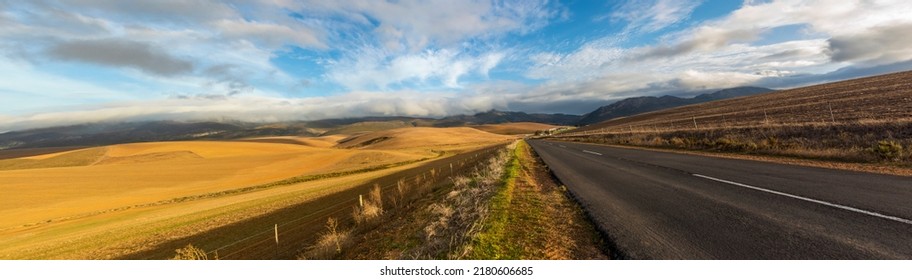 Panoramic road of the garden route that runs along the fynbos peninsula along the entire south african coast from Port Elizabeth to Cape Town with idyllic landscapes in the background. - Shutterstock ID 2180606685
