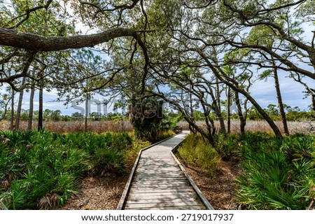 Panoramic scene of the ancient dune system at St. Andrews State Park on Panama City Beach, Florida