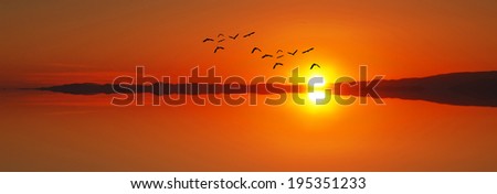 Similar – Image, Stock Photo towards the sun romantic