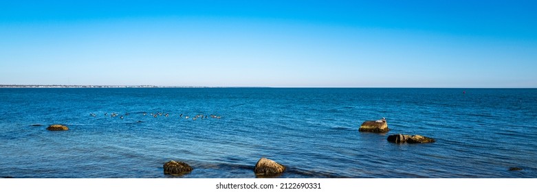 Panoramic seascape with glacial sea rocks on the beach at low tide on Cape Cod in winter. Sea birds and wildlife animal sanctuary photo.