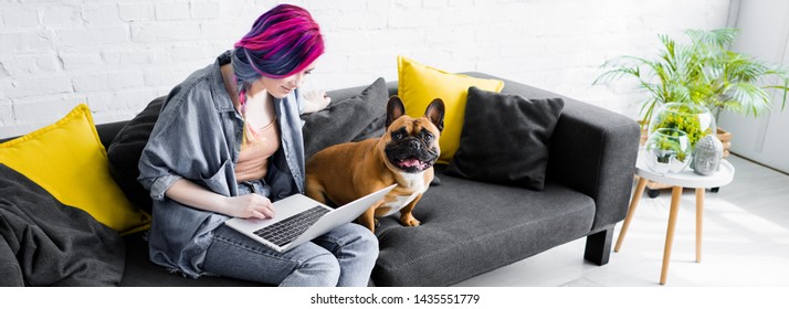 Panoramic Shot Of French Bulldog Sitting Near Girl With Colorful Hair Sitting On Sofa And Using Laptop 