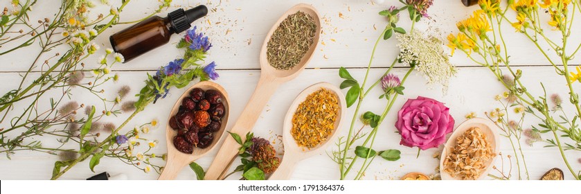 panoramic shot of herbs in spoons near flowers and bottle on white wooden background, naturopathy concept - Shutterstock ID 1791364376