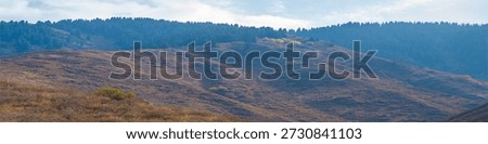 Panoramic shot of rolling mountain slopes covered in dry, brown grass and dotted with scattered green and yellow bushes, topped by a ridge of dark coniferous forest.