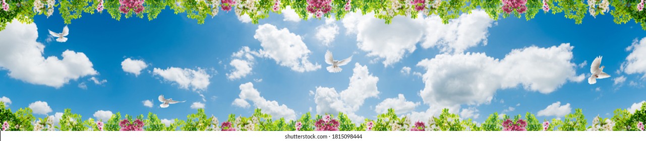 Panoramic sky with birds and flowers